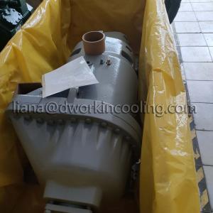 06TTA301SS1C Carlyle Screw compressor