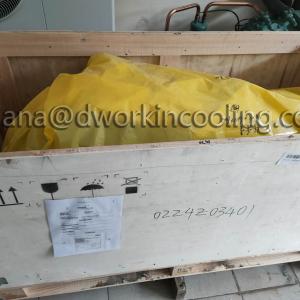 06TTA301SS1CB3 Carlyle Screw compressor